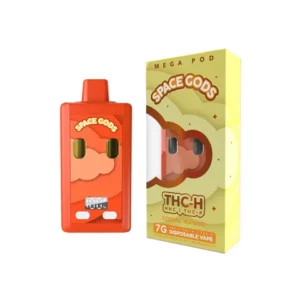 Space Gods Mega Pod 7g Disposable